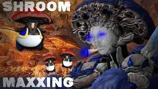 Nokko The New Warframe Honest Review