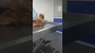 appointment for vicxy having diarrhea