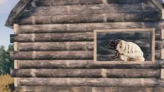 POV Your Neighbors Are Grubs.. - Rust