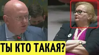 У вас нет прав! Небензя ПОРВАЛ в ООН представителя Боснии и Герцеговины