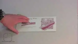 Cruise Travel Document Folder