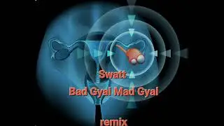 Swatt - Bad Gyal Mad Gyal  remix (put your hands where my eyes could see)