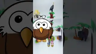 Learn 7 Interesting Facts About The Eagle /Toddler Learning Video About Wild Animals  