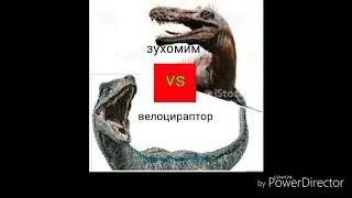 Велоцираптор против зухомима. (ВЕРШЫНА ПИЩЕВОЙ ЦЕПИ)