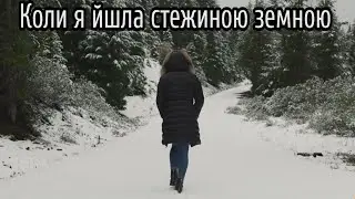 Коли я йшла стежиною земною | християнська пісня