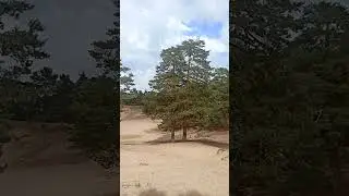 25 июня 2023 г.