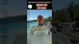 Лидерство это сила
