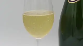 Sparkling Suggestions, Wine Tap Tips, Wild Wine Life