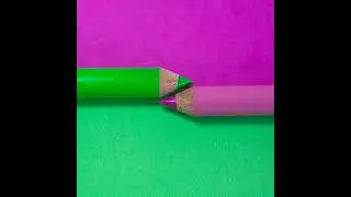 Какие 3 растения приносят горе и беды в дом: они есть у многих