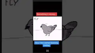 When Something is Wrong in the code 😥😂