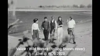 Valice - Wild Horses (Rolling Stones cover)