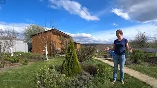9 апреля. Обо всем и даже про кур и цыплят.
