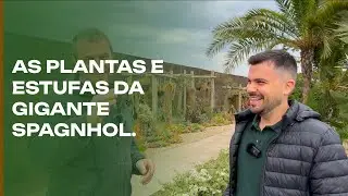 As plantas e estufas da Spagnhol