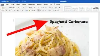 How to add Text on Image in Microsoft Word in 2024