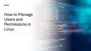 How to Manage Users and Permissions in Linux