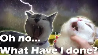 Oh No... What Have I Done?