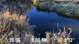 29 ДЕНЬ БЕГА. БЕГУНЫ ПОПРЯТАЛИСЬ. (2023.10.22)