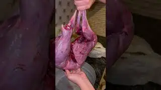 Qəbələ-Şəki-Qax vloqu❤️