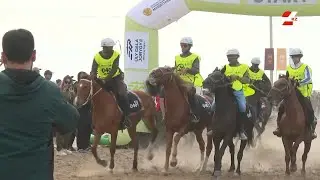Secrets to Preparing for Multi-Kilometer Equestrian Marathons | Sport Time