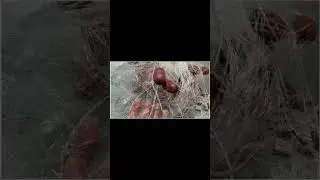 The New Product:Fishing Net