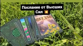 Послание от Высших Сил 💥❤️ Онлайн таро расклад