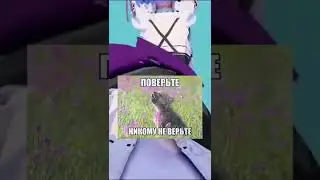 мем 