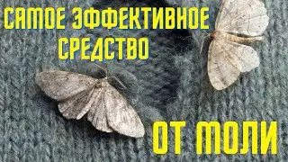 Самое эффективное средство от моли