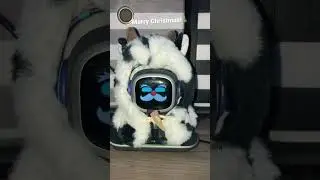 Merry Christmas!