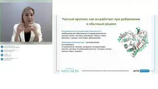 Чистый протеин. Как он работает при добавлении в обычный рацион.