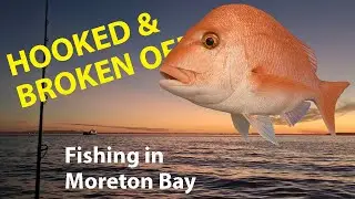 Moreton Bay Fishing – Whiting & Squid Fail, Live Bait for Jewfish, Surprise Snapper!