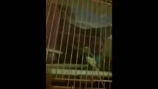 что за )(уйня бл@ть