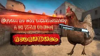 Cтрим CS2, играем и общаемся. 🔥Скины КС за баллы канала на твич🔥