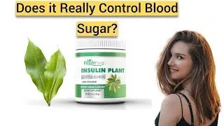 Plant Insulin - Plant Insulin Reviews
