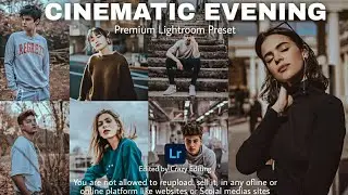 Cinematic Evening Preset - Lightroom Mobile Preset - Cinematic Night | Night preset