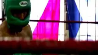 manny pacquiao vs shane mosley. HD