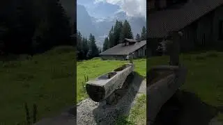 #switzerland #swissnature #swissalps #youtubeshorts 🇨🇭
