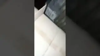 мини-рохля