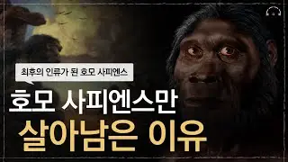 [수면다큐] 최후의 인류가 된 호모 사피엔스의 비밀 | 잠잘때 듣는 고인류사 | 찬란한 멸종 | 오디오북