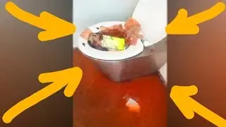 ШОК ВИДЕО!! ДЕВУШКА ЗАХОТЕЛА СХОДИТЬ В АВТОМАТИЧЕСКИЙ ТУАЛЕТ