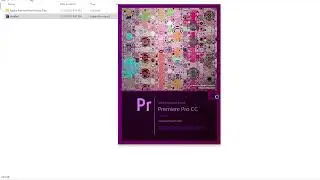 Adobe premier pro could not find any video play modules - #03