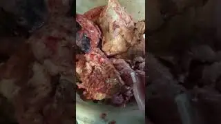 Видеоролик по поводу питания и подготовки продуктов 👌