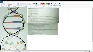 Budowa cząsteczki DNA Klasa 8 podstawówka/3 Klasa gimnazjum