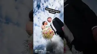 Wedding season is on the way! 