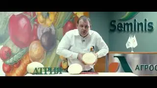 Капуста Атрия F1