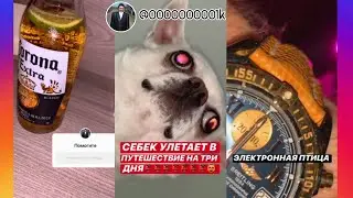 Сережа 01к, новые часы, балдежи, себек - ИнстаСториз Сережа Бандитизм 01k