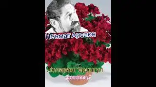 Неьмат Арслон   Лоларанг ёронгул (новелла)