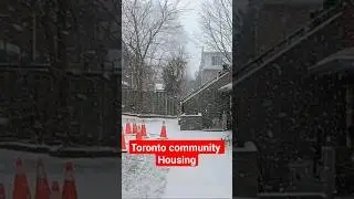 when snow falls in the projects, does anyone see it?