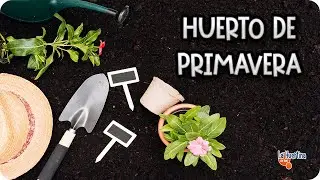 Como Planificar La Huerta De Primavera Para Cultivos De Éxito || La Huertina De Toni