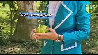 Sabun Cuci Piring dari Asam Gelugur