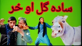 New funny video sada gull ow khar full funny video by CHD Vines